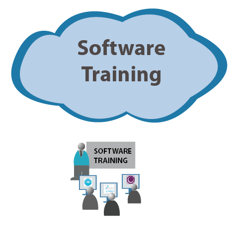 Why do we need software training institutes?